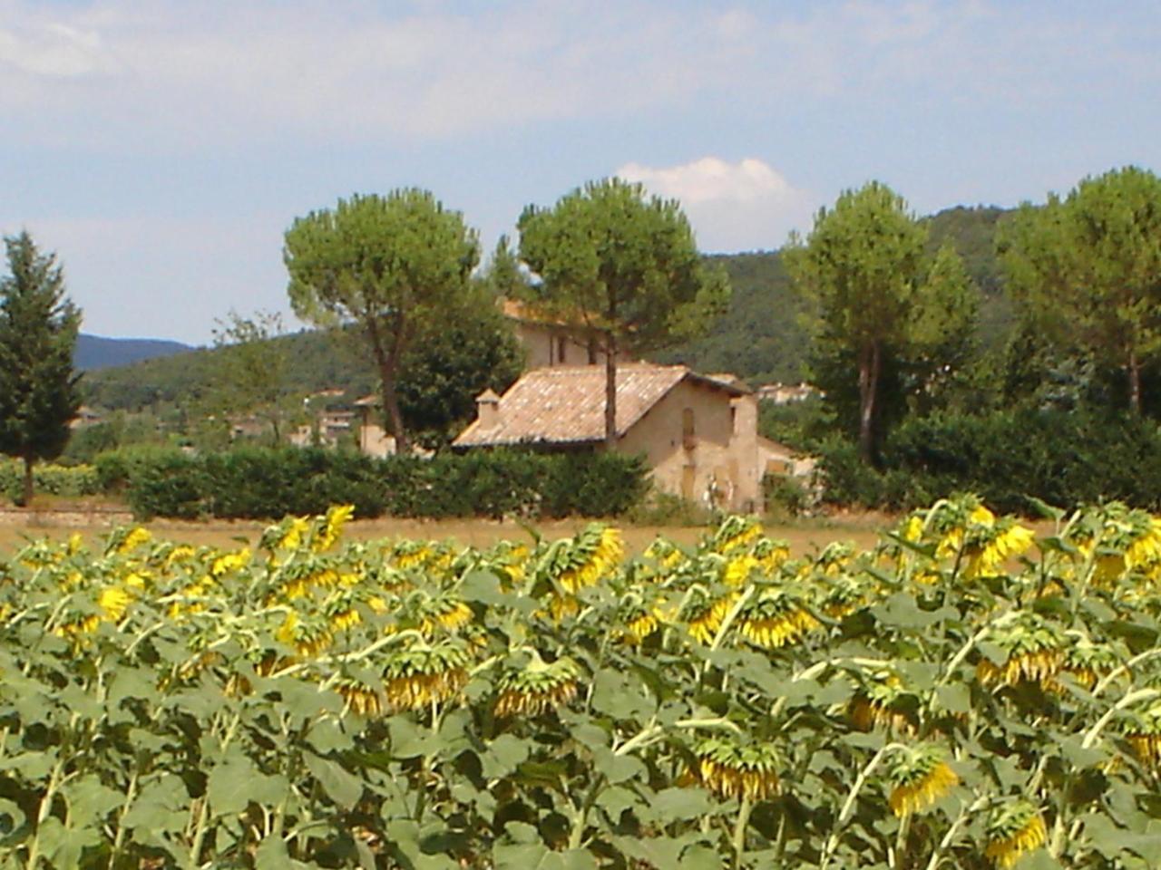 Casale Il Colombaio Di Toiano Guest House Valli Exterior foto